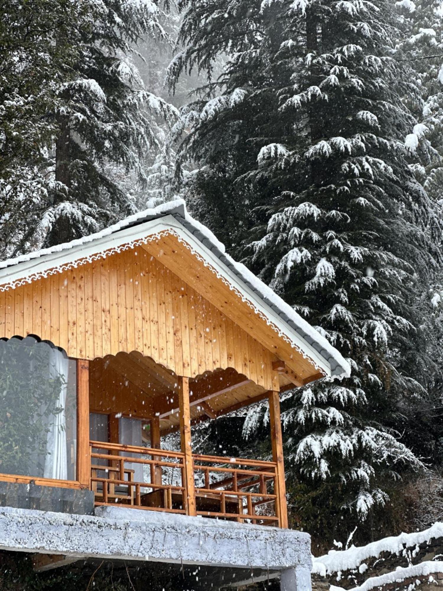 Отель Tree House Latos Tandi Jibhi Экстерьер фото
